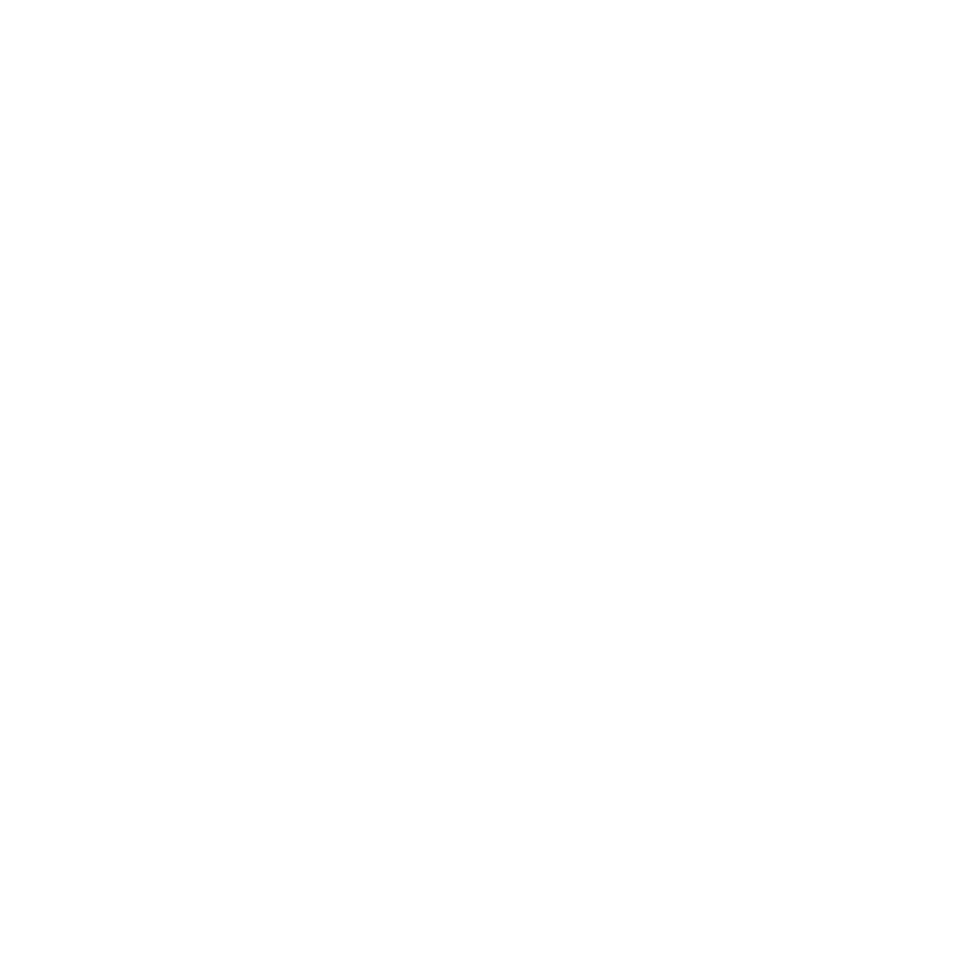 Papatya Temizlik