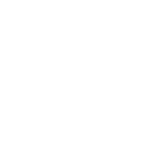 Papatya Temizlik