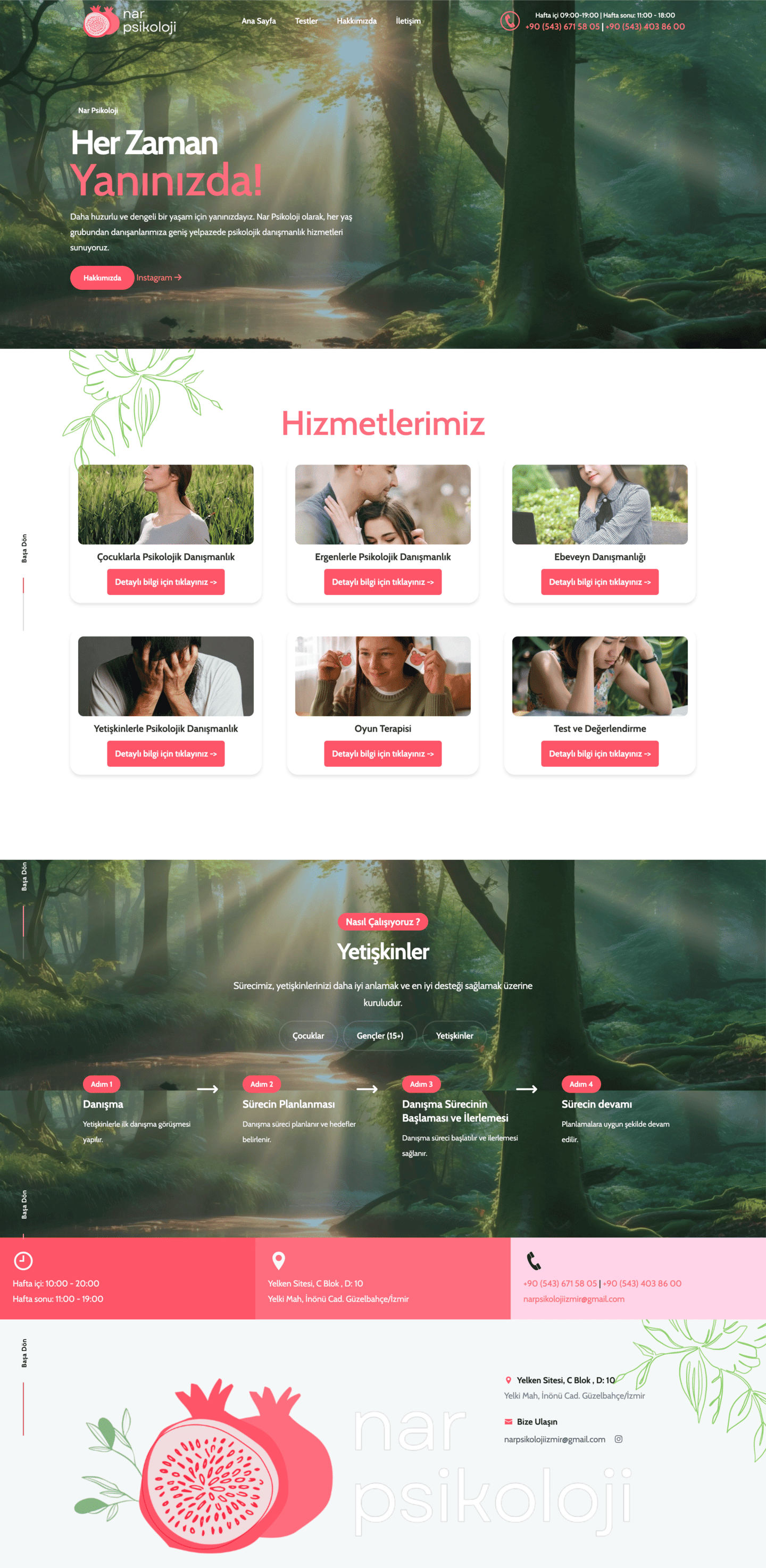 Nar Psikoloji web sitesi ekran görüntüsü