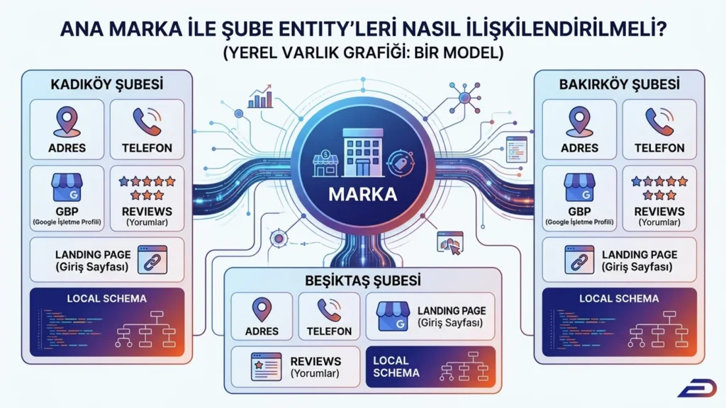 Digitalplus yerel varlık grafiği (local entity) modeli: Ana marka ile şube entity'leri arasındaki ilişki. Çok şubeli işletmeler için adres, telefon, GBP, müşteri yorumları ve local schema mimarisi.