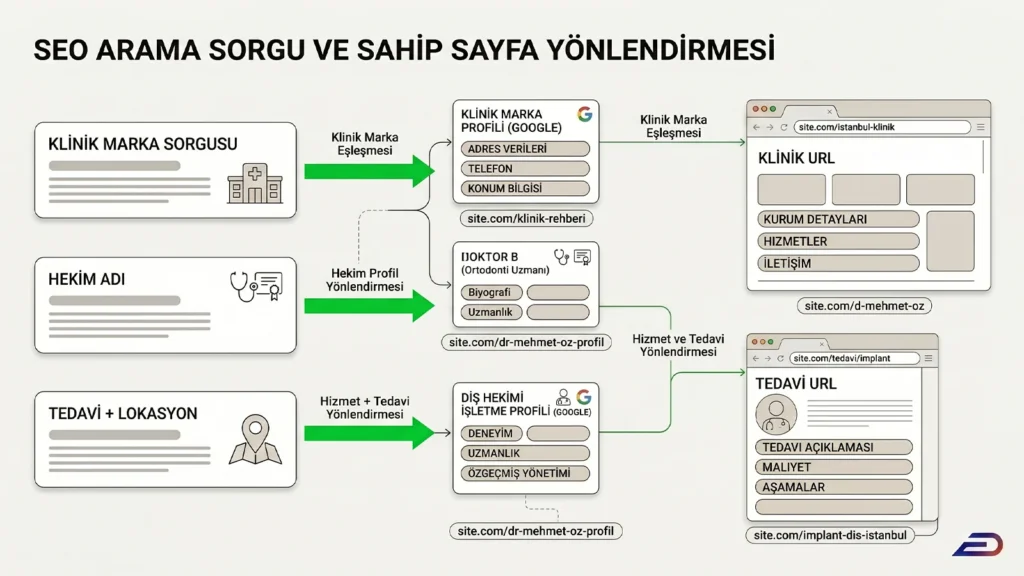 Digitalplus dental yerel SEO arama sorgusu ve sahip sayfa yönlendirmesi: Klinik marka, hekim adı ve tedavi + lokasyon sorgularının ilgili Google İşletme Profillerine (klinik veya hekim GBP) ve sonrasında doğru klinik ana sayfası, doktor profili veya tedavi URL'lerine nasıl bağlandığını gösteren şema.
