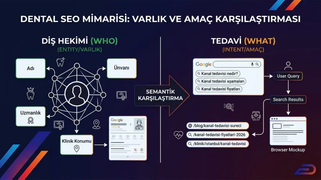 Digitalplus dental SEO varlık ve amaç karşılaştırması: Diş hekimi (kim/who) varlığının adı, uzmanlığı ve klinik konumu ile tanımlanırken; tedavi (ne/what) amacının kullanıcı sorguları (kanal tedavisi nedir, fiyatları) ve ilgili arama sonuçları URL'leri ile semantik olarak nasıl ayrıştığını gösteren diyagram.