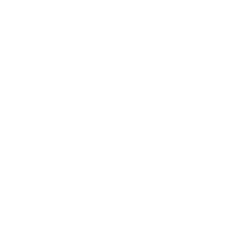 Papatya Temizlik